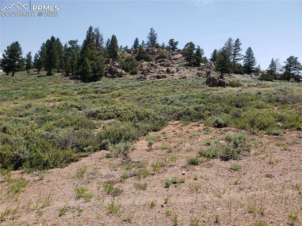 Powderhorn, CO 81243,5004 County Road 25 RD