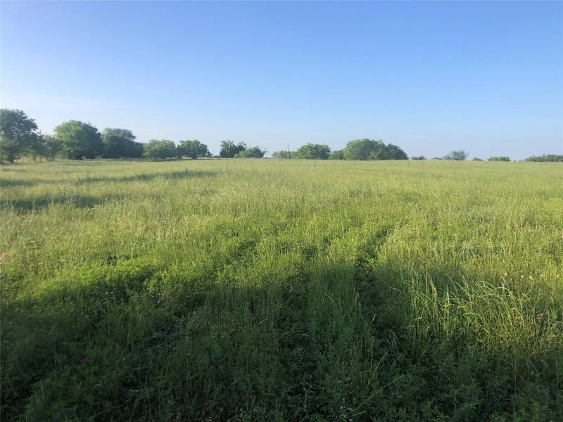 TBD FM 2547, Fairfield, TX 75840