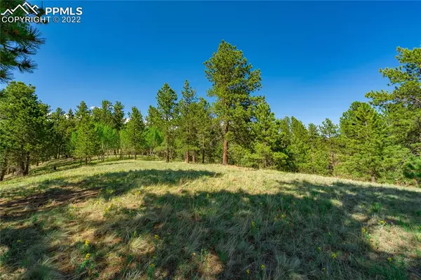 Divide, CO 80814,57 Beaver Lake CIR