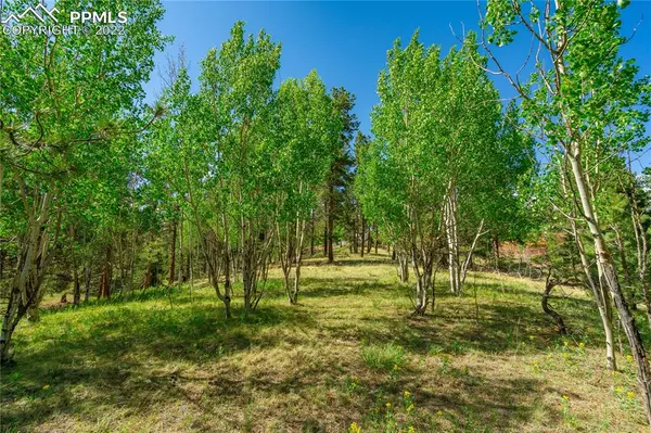 Divide, CO 80814,57 Beaver Lake CIR