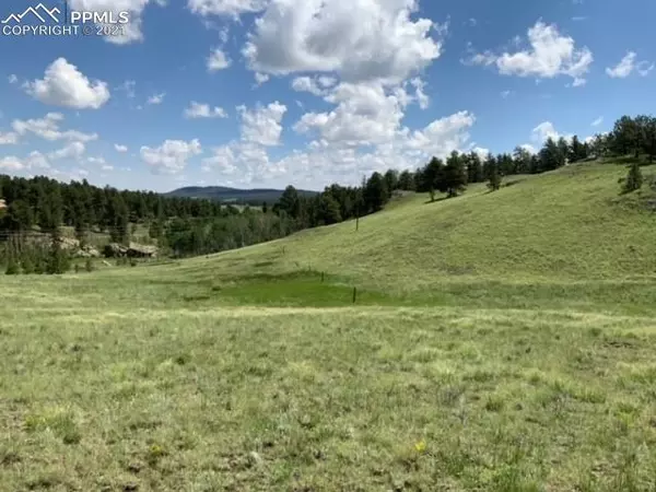 Florissant, CO 80816,128 Curb Bit LN