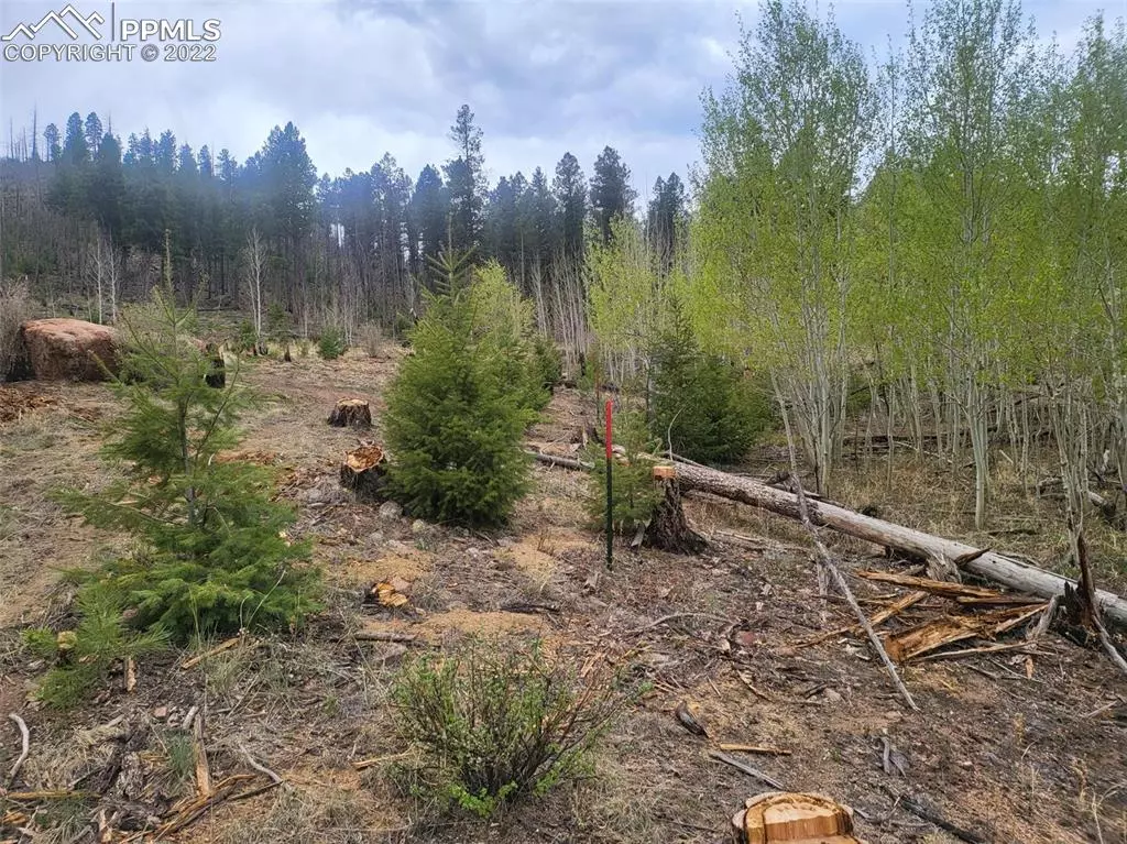 Woodland Park, CO 80863,Unknown HWY