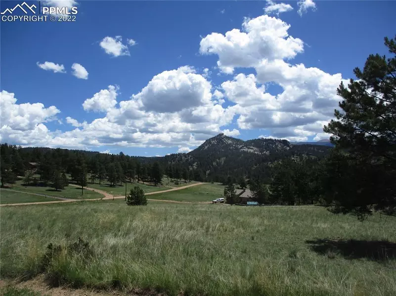 2111 Southpark RD, Florissant, CO 80816