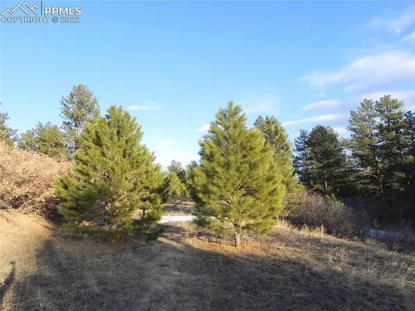 Larkspur, CO 80118,2386 Lupine CIR