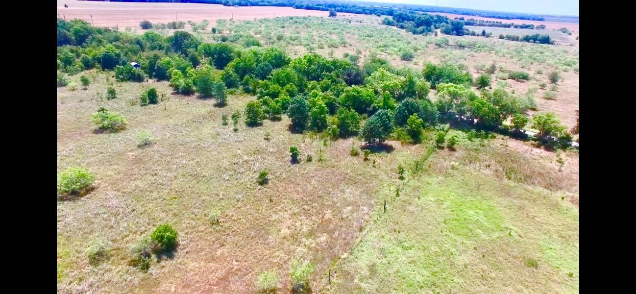 12649 County Road 3270, Kerens, TX 75144