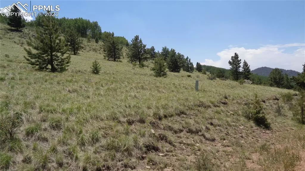 Cripple Creek, CO 80813,972 Anges DR