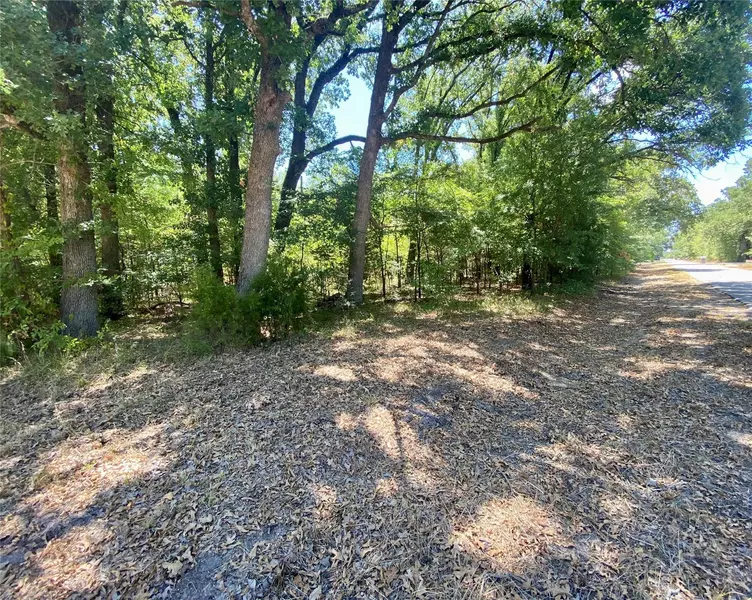 0 Parkside Drive, Trinidad, TX 75163