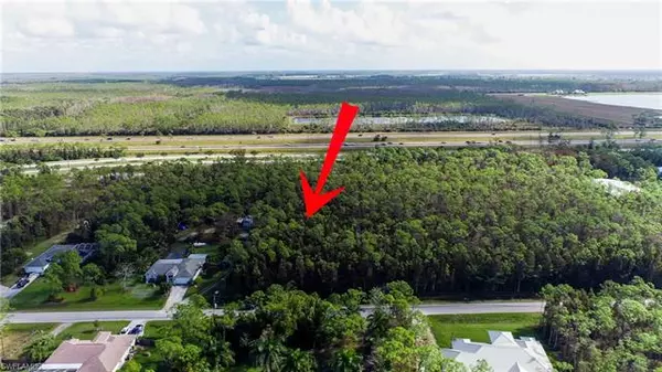 24265 Roger Dodger ST, Bonita Springs, FL 34135