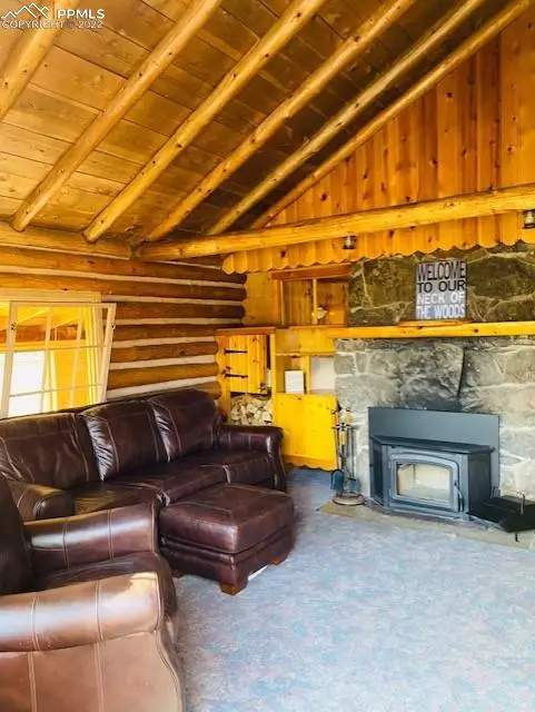 Lake George, CO 80827,149 Brakeman LN