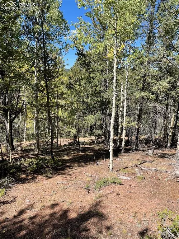 Divide, CO 80814,833 Calcite DR