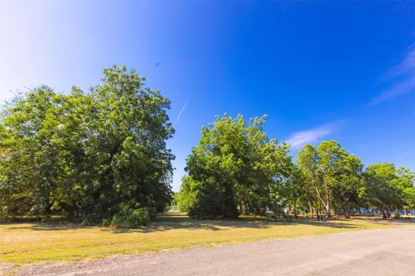 Kerens, TX 75144,Lot 28 Embarcadero