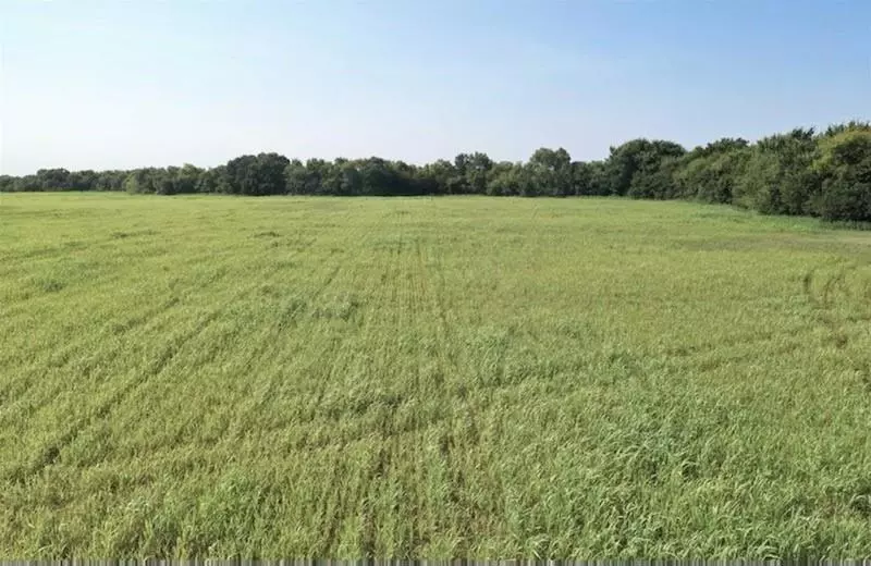 Wolfe City, TX 75496,25 AC County Rd 4615