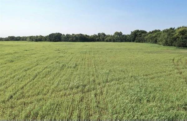 25 AC County Rd 4615,  Wolfe City,  TX 75496