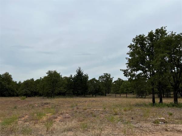 TBD Creek Crossing, Alvord, TX 76225