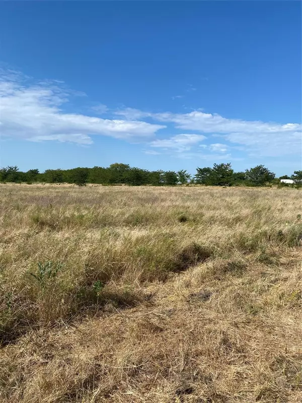 Greenville, TX 75401,Lot 3 TBD County Rd 4306