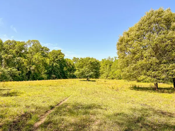 Huntsville, TX 77340,000000 Robinson Creek Rd