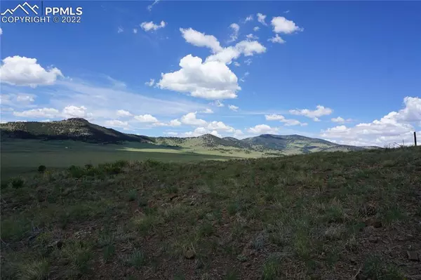 Guffey, CO 80820,89 Peak DR