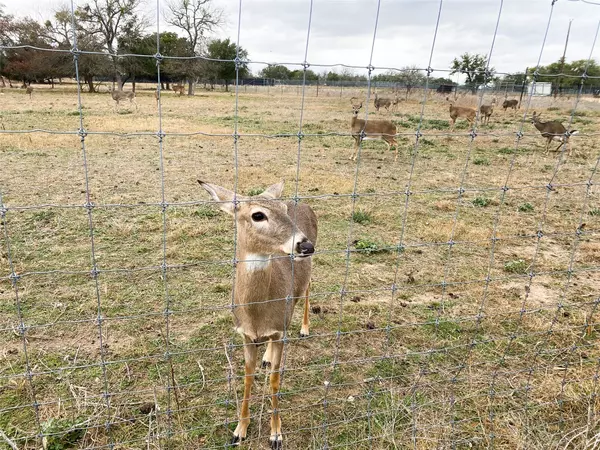 Purmela, TX 76566,TBD County Rd 102