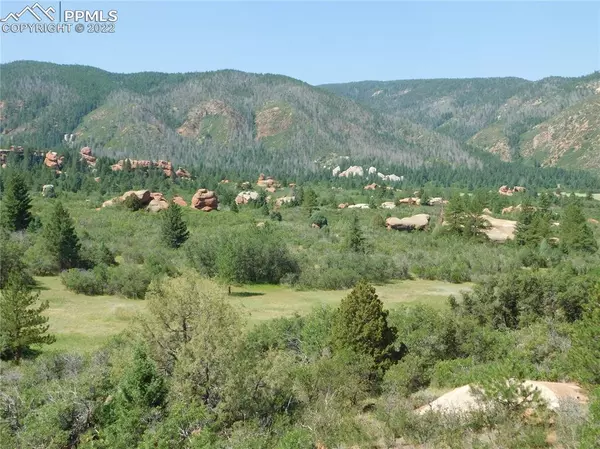 Larkspur, CO 80118,6070 Spy Glass CT