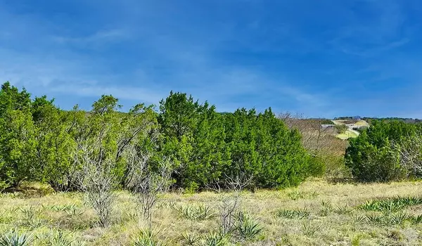 Bluff Dale, TX 76433,Track 144 Anglers Ridge