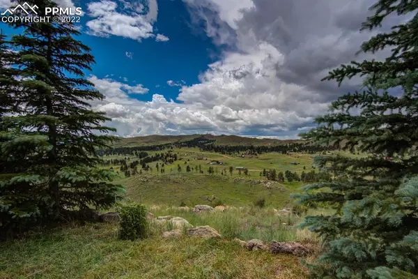 Woodland Park, CO 80863,13338 Rebecca Overlook CIR