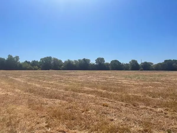 Purdon, TX 76679,TBD Lot 2 County Road 3140