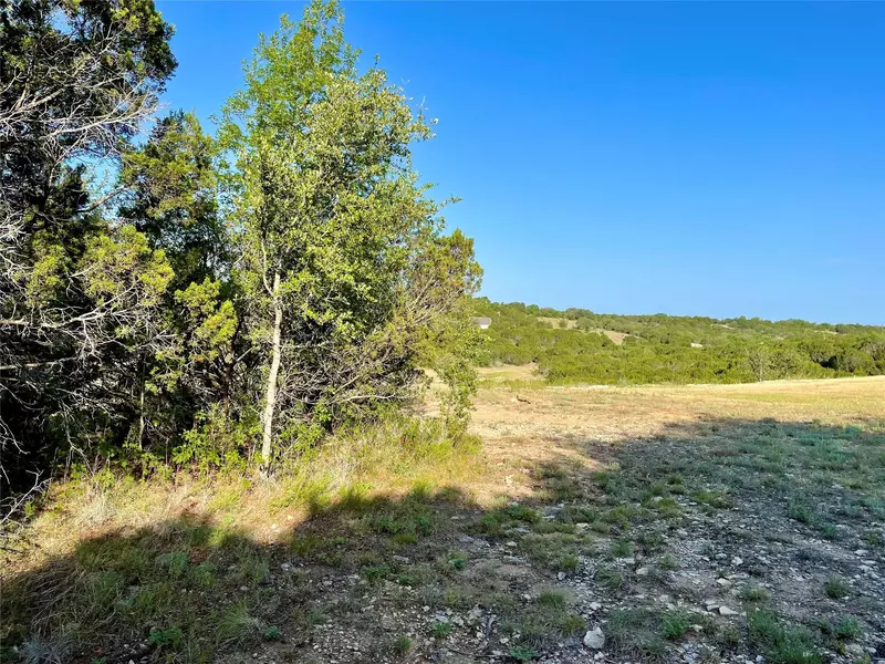 TBD Sunrise Bay, Bluff Dale, TX 76433