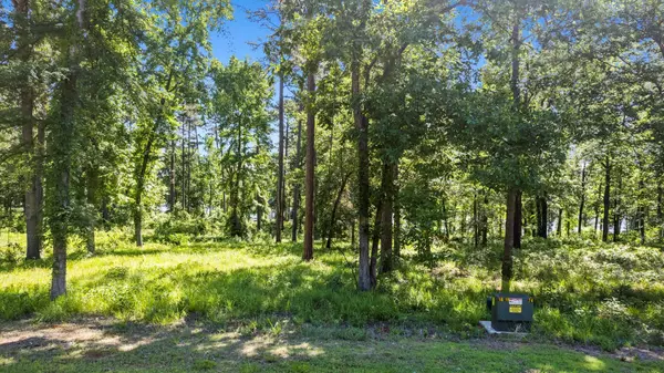 Leesburg, TX 75451,Lot 40 Private Rd 52416