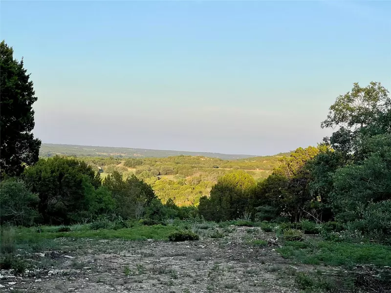 990 Magic Valley, Bluff Dale, TX 76433