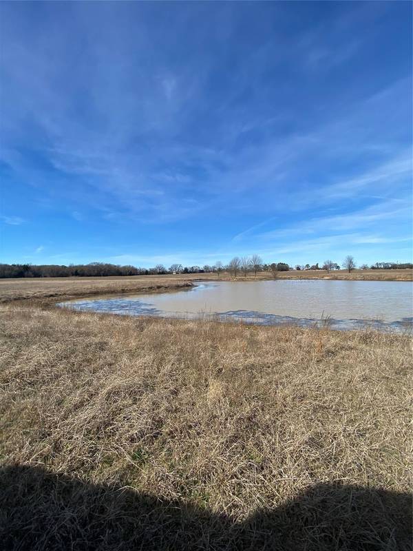 Lot 14 Farm Road 269 S, Saltillo, TX 75471