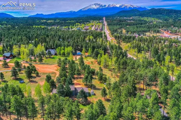 Woodland Park, CO 80863,796 Sunnywood PL