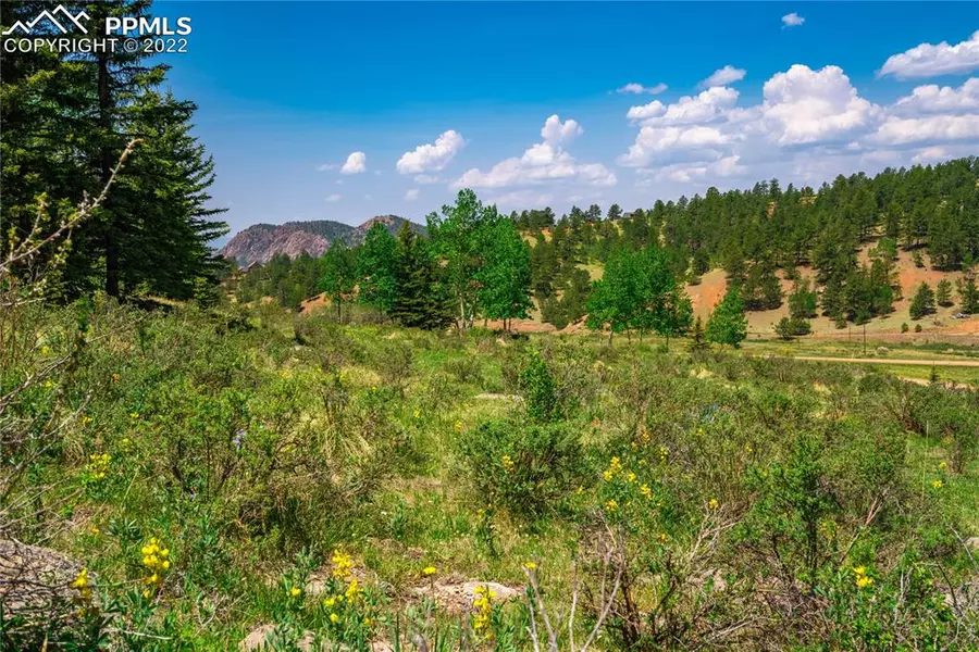 1408 Anges DR, Cripple Creek, CO 80813