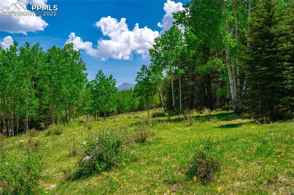 Cripple Creek, CO 80813,1408 Anges DR