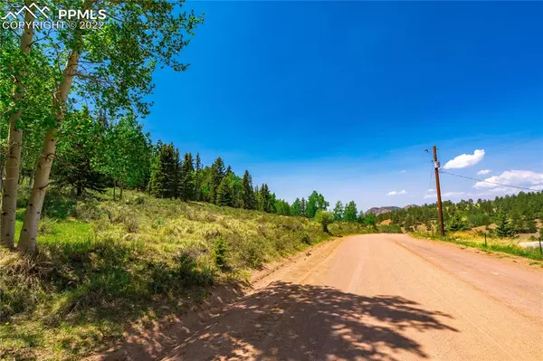 Cripple Creek, CO 80813,1408 Anges DR