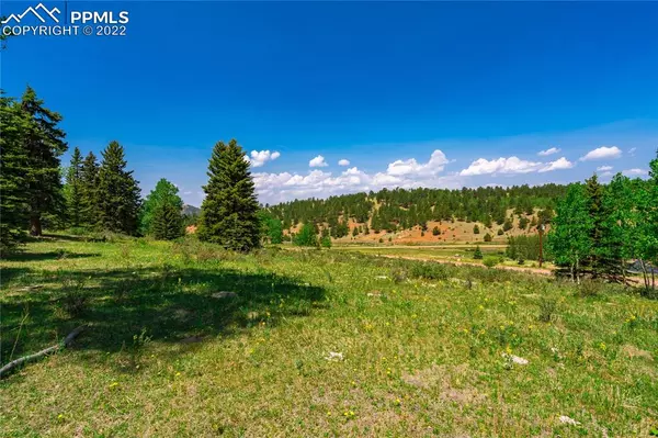 Cripple Creek, CO 80813,1408 Anges DR