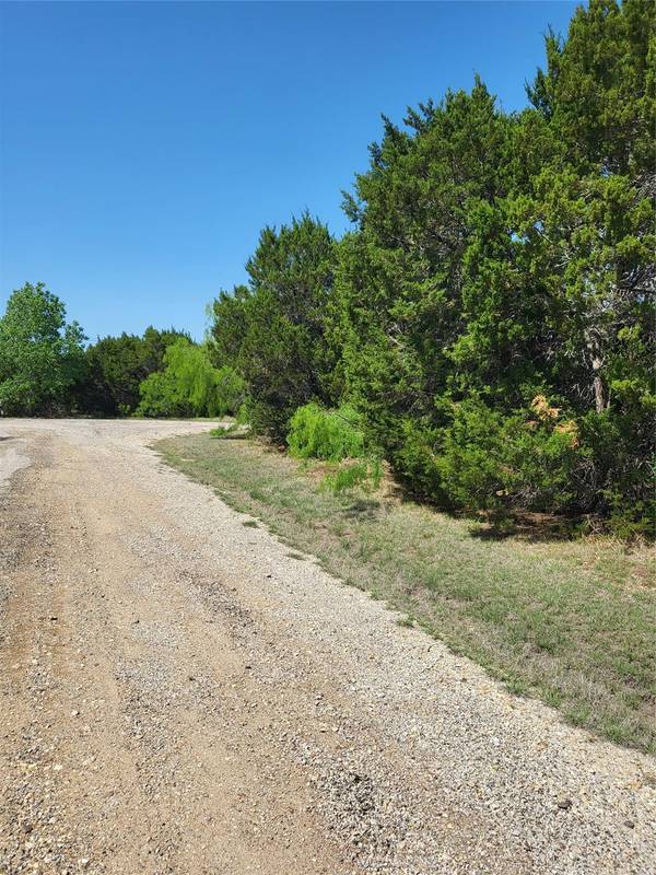 12048 Shady Creek Drive, Whitney, TX 76692