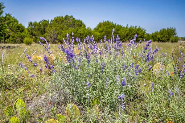 TRACT 1A 25 ACRES Mountain Drive, Graford, TX 76449