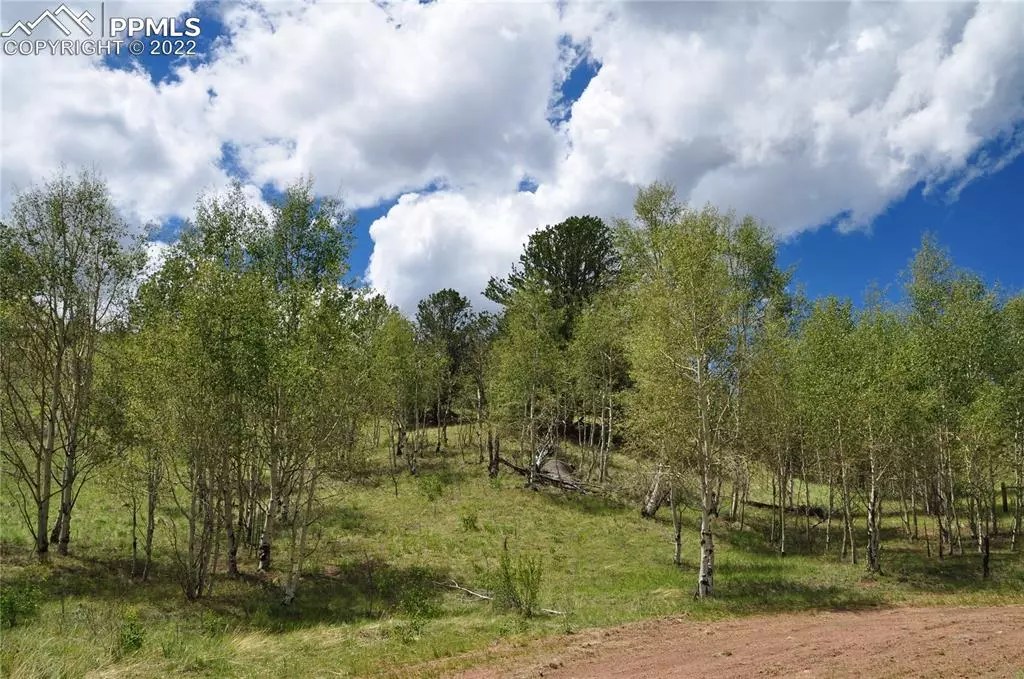 Cripple Creek, CO 80813,287 Wildhorse RD