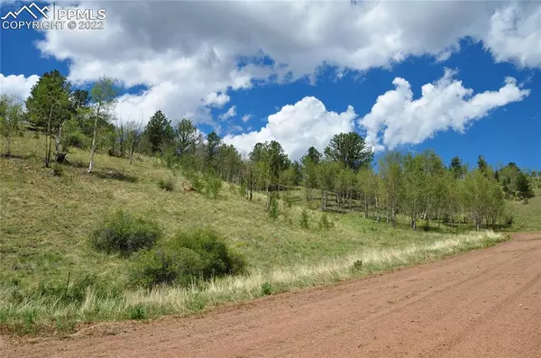 Cripple Creek, CO 80813,287 Wildhorse RD