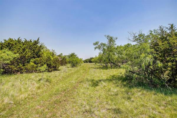 TRACT 7B 26.00 ACRES Mountain Drive, Graford, TX 76449