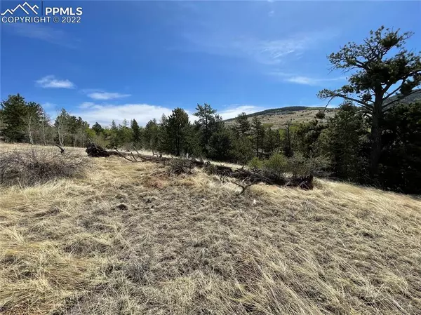 647 Midday CIR, Cripple Creek, CO 80813