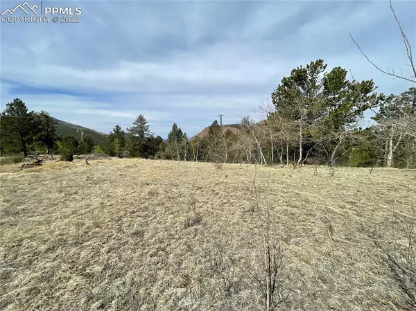 Cripple Creek, CO 80813,647 Midday CIR