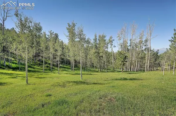 Westcliffe, CO 81252,620 Junkins LOOP