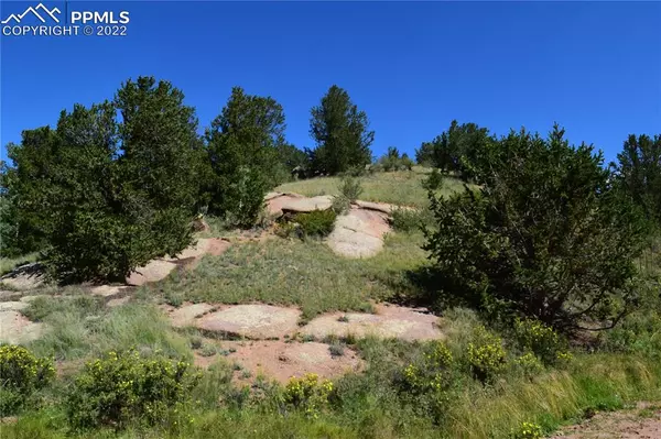 Cripple Creek, CO 80813,139 Wellington DR