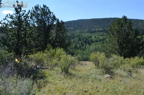 Cripple Creek, CO 80813,139 Wellington DR