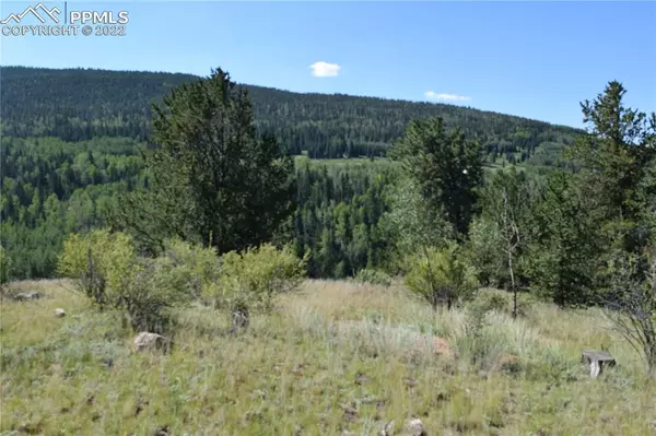 Cripple Creek, CO 80813,139 Wellington DR