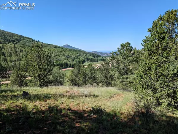 Cripple Creek, CO 80813,139 Wellington DR