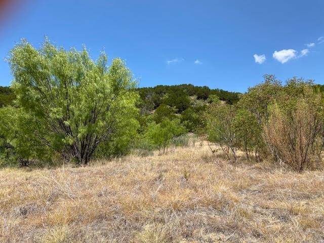 Lot 141 Canyon Wren S, Graford, TX 76449