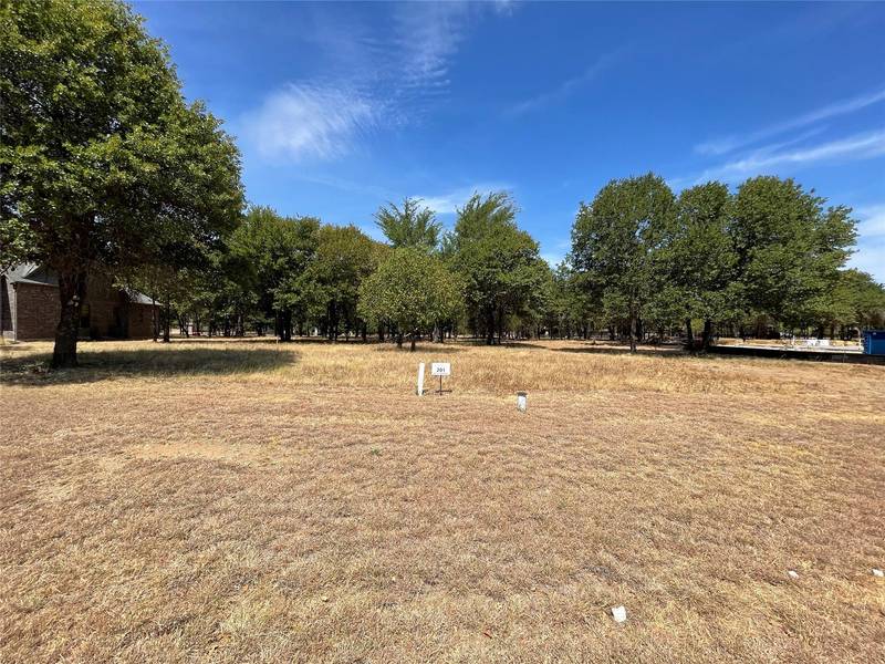 000 S Sugartree Drive, Lipan, TX 76462