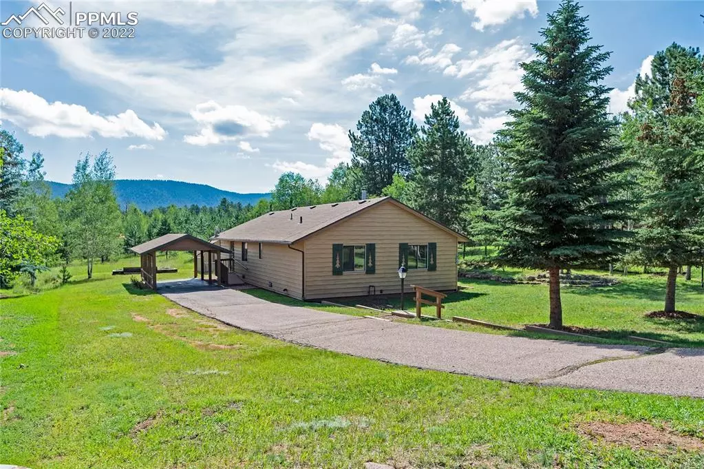 Woodland Park, CO 80863,1310 Michael LN